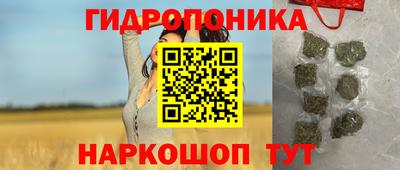 Альфа ПВП Гусиноозёрск